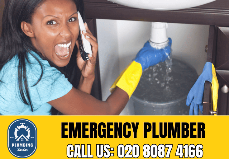 emergency plumber Chingford