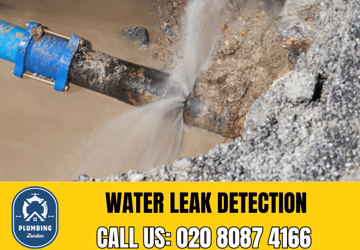 leak detection Chingford