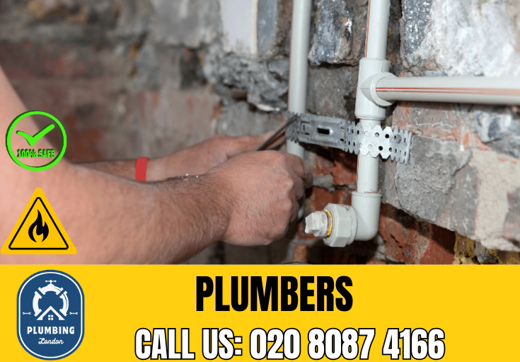  plumber Highams Park